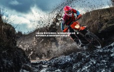 28圈中国-葡萄牙豪取胜利，成功晋级欧锦赛半决赛，葡萄牙豪取胜利,成功晋级欧锦赛半决赛的是谁