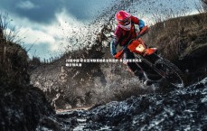 28圈中国-职业篮球联赛排名全新出炉 多位球星表现亮眼引领风潮