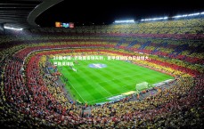 28圈中国-.巴勒莫客场失利，意甲保级压力日益增大，巴勒莫球队