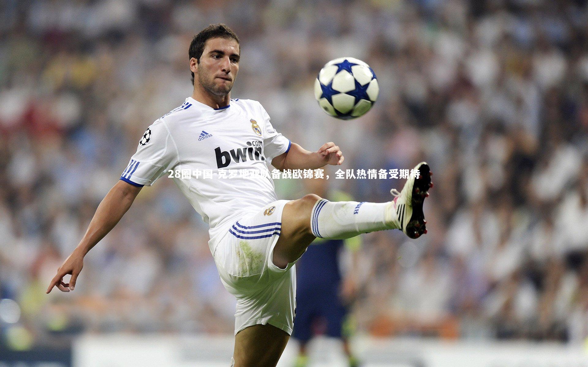 克罗地亚队备战欧锦赛，全队热情备受期待