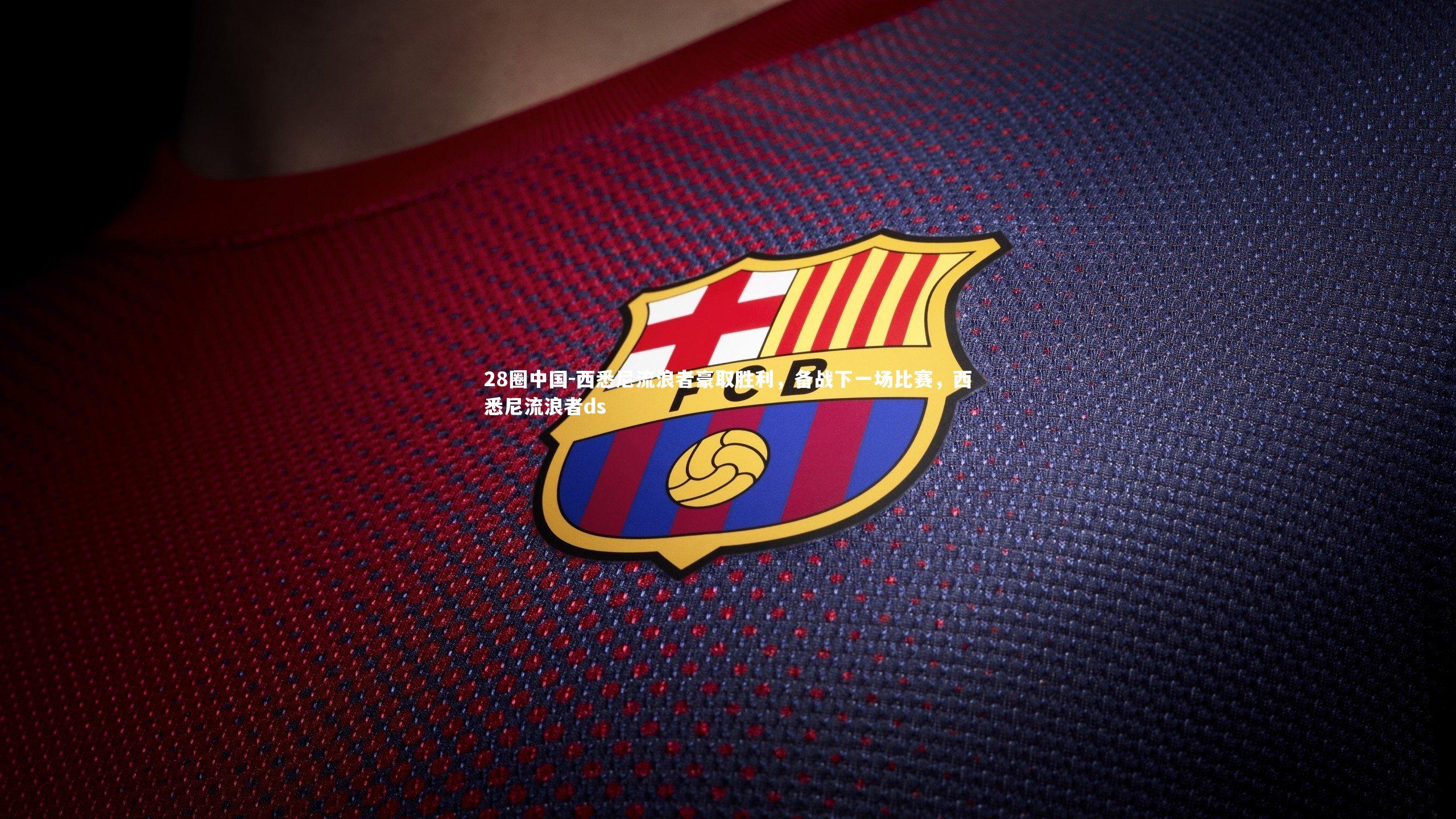 西悉尼流浪者豪取胜利，备战下一场比赛，西悉尼流浪者ds