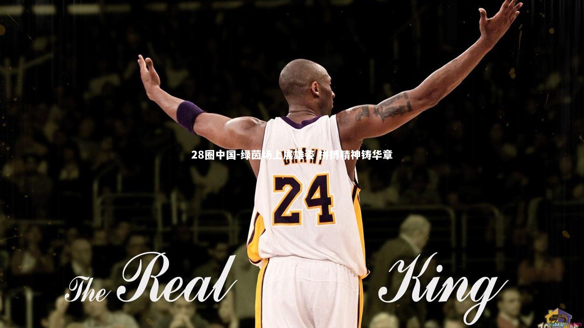 绿茵场上展雄姿 拼搏精神铸华章