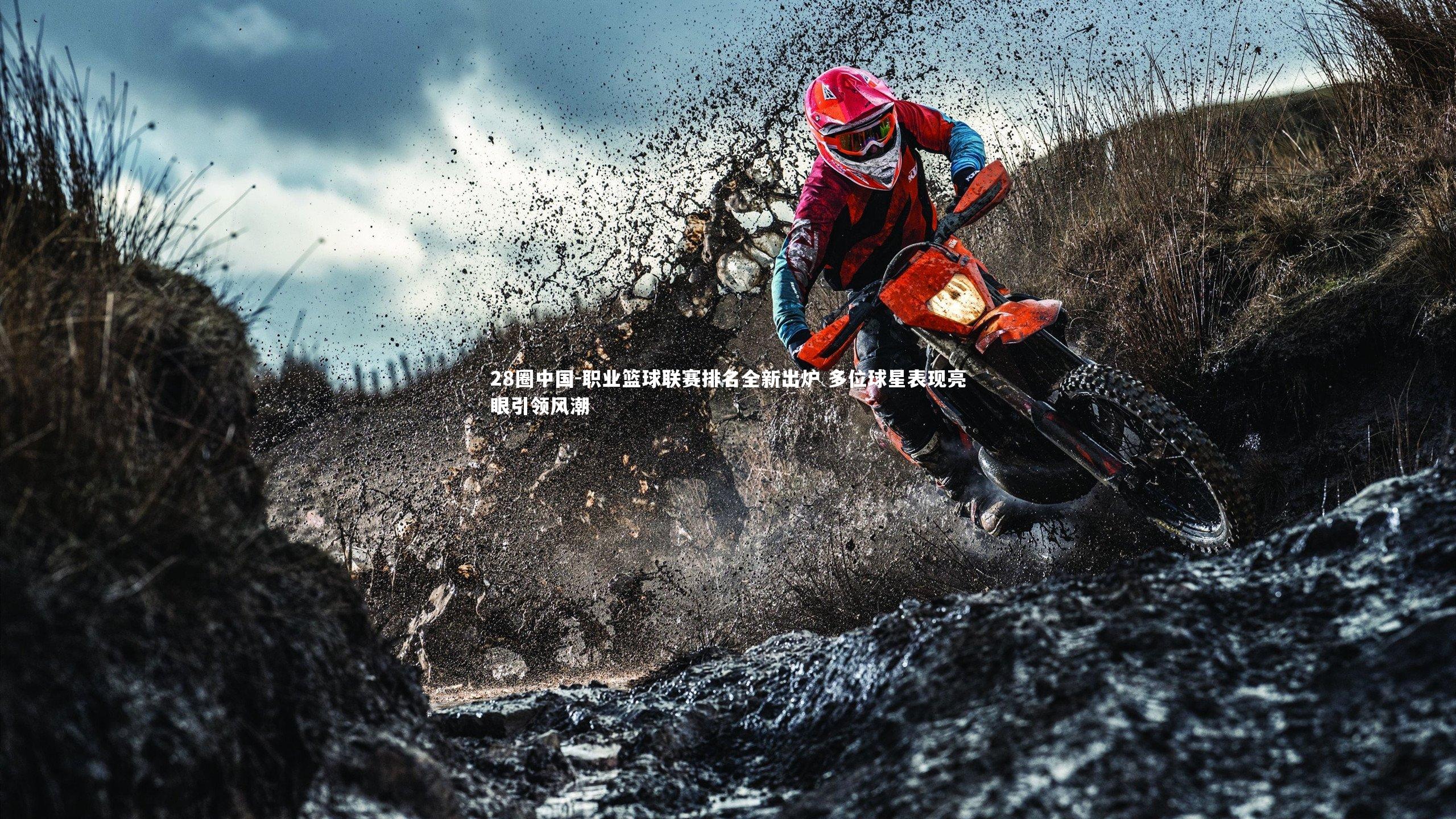 职业篮球联赛排名全新出炉 多位球星表现亮眼引领风潮