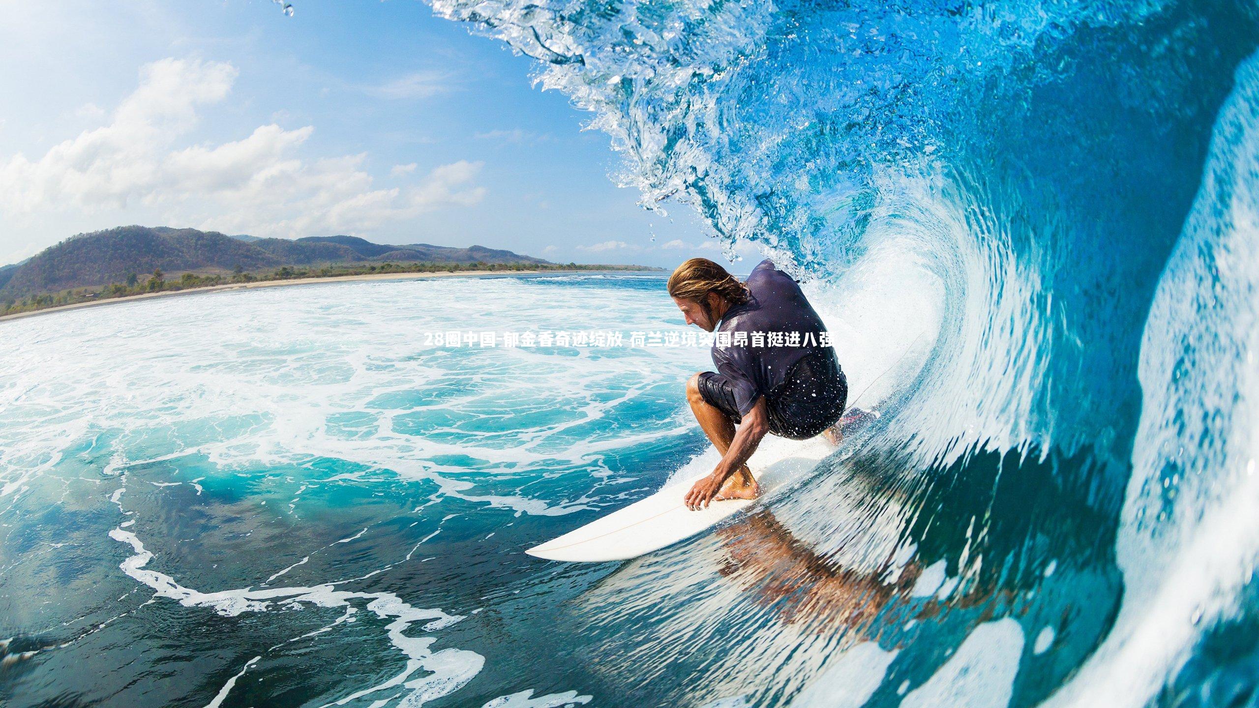 郁金香奇迹绽放 荷兰逆境突围昂首挺进八强